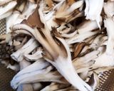 鮭ときのこの 私が食べたい炊き込みご飯作り方3写真