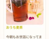 おうち麦茶作り方19写真