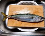 サバ好きにはたまらない 鯖寿司作り方1写真