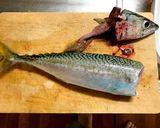 サバ好きにはたまらない 鯖寿司作り方2写真