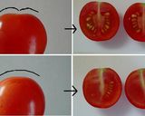 プチトマトで☆ドライトマト作り方1写真
