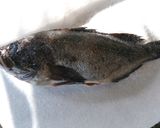 黒そいの塩焼き グランシェフ作り方1写真