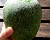 とろ～りやわらか♪冬瓜のツナ煮作り方5写真