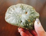 粉不要！宇宙芋とキムチのチヂミ作り方1写真