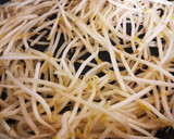 町中華屋さん風～♪豚こまニラもやし炒め作り方4写真