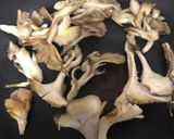 ケトサンド〜羽根つきチーズレンコン〜作り方6写真