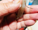 エビと鶏挽きしんじょうの素麺揚げ作り方3写真