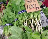 大根菜と油揚げの煮浸し作り方1写真
