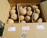 ハム卵なし！3種のじゃが芋のポテトサラダ作り方8写真