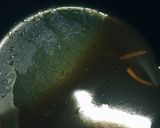 濃い味レンコン入りきんぴら作り方7写真