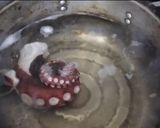 地中海料理 タコとセロリのマリネサラダ作り方1写真