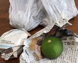 かぼすの食べ方〜かぼすの魅力〜作り方1写真