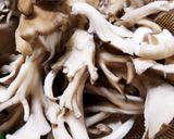 万願寺トウガラシと舞茸の塩炒め作り方2写真