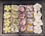 身近な花で作る宝石〜お花の砂糖漬け作り方8写真
