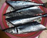 秋刀魚と秋野菜のグリル作り方2写真