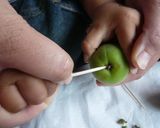 *母親ゆずりの梅酢*作り方1写真