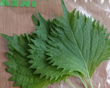 大葉を長持ちさせる方法作り方3写真