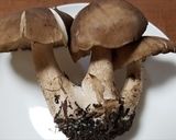 ハタケシメジの焼きキノコ・料亭メニューに作り方1写真