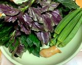 金時草とオクラの浅漬け風小鉢作り方1写真