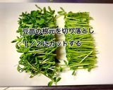 豆苗と豚肉の味噌マヨ炒め作り方3写真