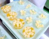 りんごゼリー（てしおこども食堂）作り方6写真