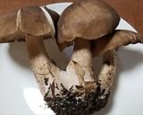 ハタケシメジとワカメの味噌汁作り方1写真