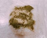粉末緑茶で、梅茶漬け風、梅おにぎり作り方1写真