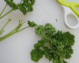 付け合わせ＆ お弁当にパセリのパスタ作り方1写真