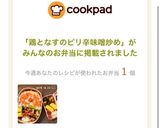 鶏となすのピリ辛味噌炒め作り方11写真