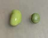 青大豆(秘伝豆)のひたし豆作り方1写真