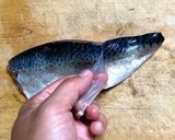 サバ好きにはたまらない 鯖寿司作り方7写真