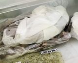甘栗並みに甘い!トースターで焼き栗♡作り方4写真