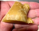 生姜香る鶏つくねとカブの餡掛け作り方7写真