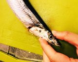 秋刀魚の内臓の取り方作り方2写真
