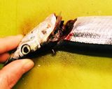 秋刀魚の内臓の取り方作り方3写真