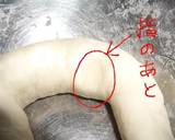 皮も簡単手作り♪もっちもち☆羽付き餃子作り方2写真