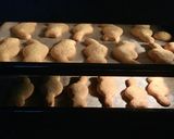 白猫のダイエットは明日から作り方4写真