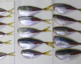 豆アジ釣ったら「マアジの南蛮漬け」だね♡作り方3写真