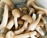 全てレンジ胸肉とさつま芋すごだれ炒め煮作り方9写真