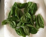 電子レンジで…パパッと！乾燥バジル作り方3写真