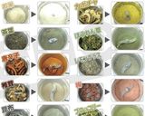 自家製米粉の生八ツ橋（グルテンフリー）作り方20写真