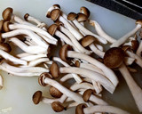 厚揚げと白菜としめじのほっこり煮物作り方3写真