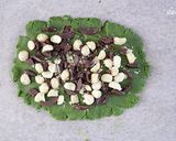 抹茶チョコクッキー作り方6写真