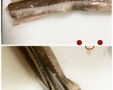 【簡単】誰でも出来るアナゴの捌き方作り方14写真
