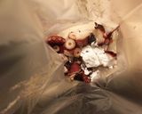 焼きれんこんと揚げタコ作り方5写真