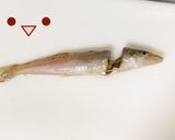 【基本】キスの背開き(天ぷら用)作り方5写真