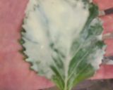 オウチ居酒屋menu♪納豆の大葉香り揚げ作り方4写真