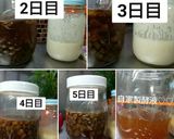 お手軽♪自家製レーズン酵母液の作り方作り方10写真