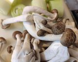 モツ＆牛すじ煮込み作り方6写真
