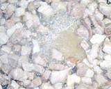 亀戸の味純レバ丼！鶏レバーの甘辛炒め作り方48写真
